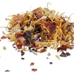 Gefu Teebereiter SAVORO, Edelstahl -Kannen & Krüge Verkaufsgeschäft d149f13f21d642f89c1d6e130c368286.cropped 0 426 1440 843.processed